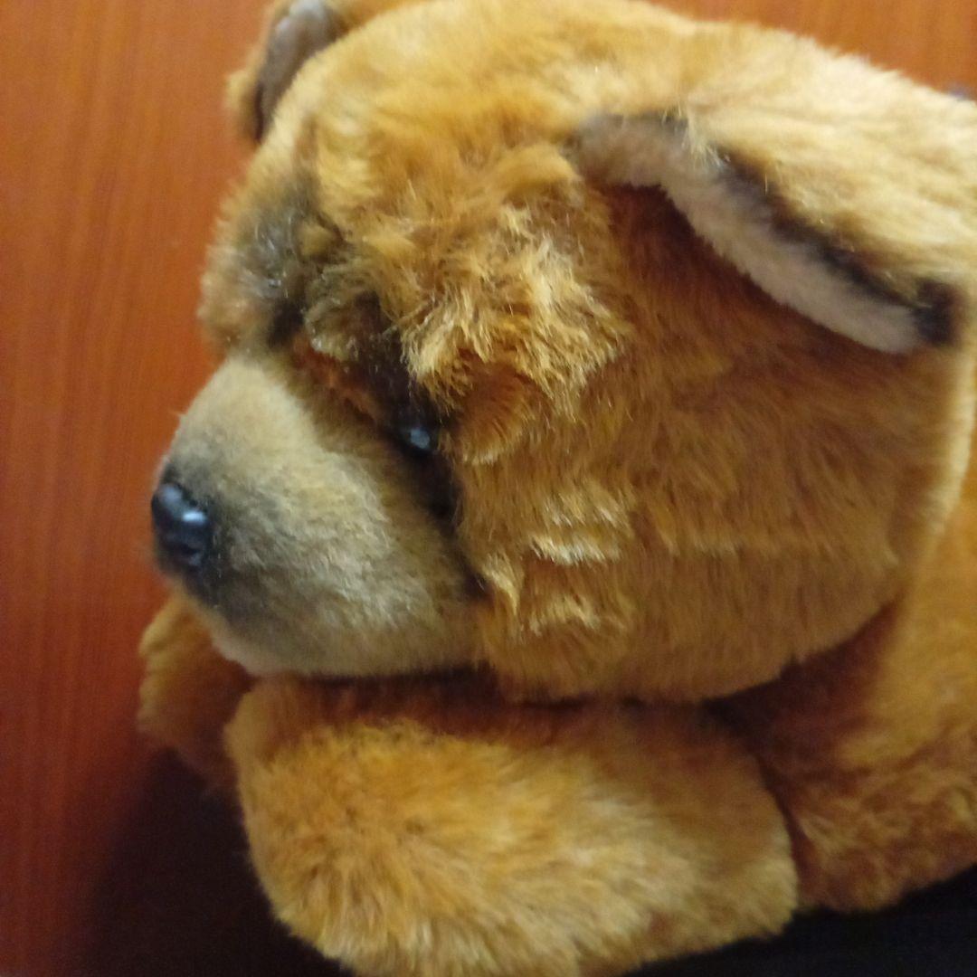 チャウ犬　中国犬　 ぬいぐるみの三英　特大ぬいぐるみ サイズ　68cm