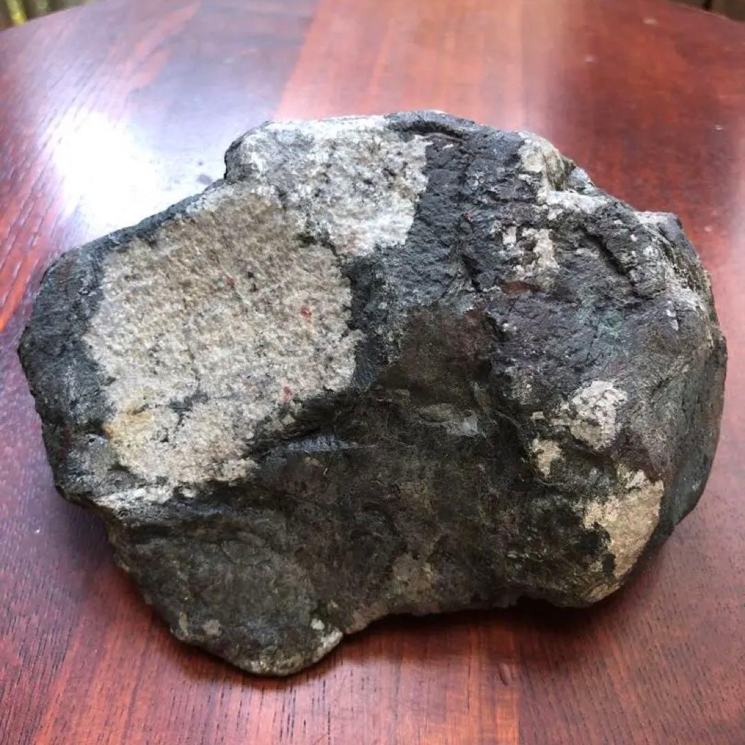 天然記念物【菊花石】古物　骨董