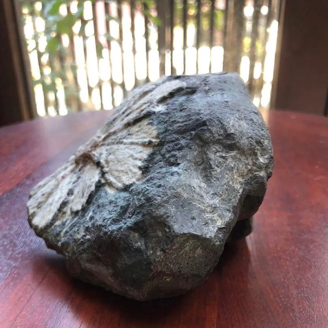 天然記念物【菊花石】古物　骨董