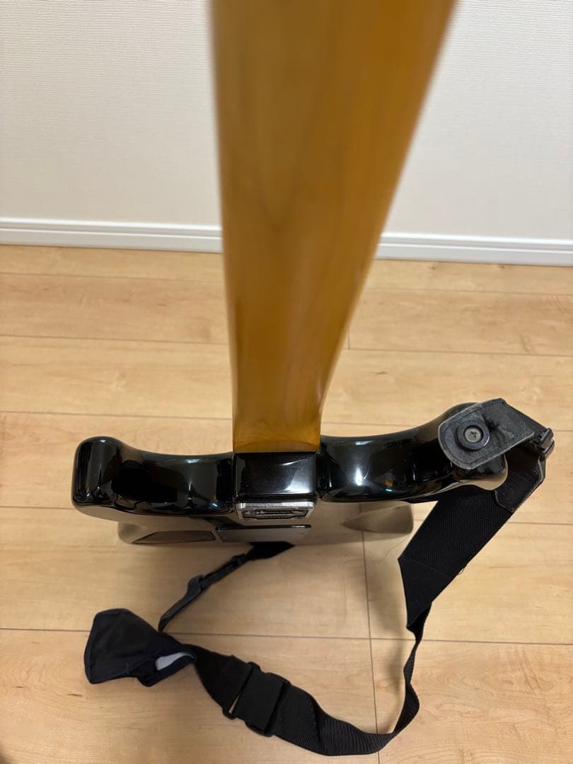 エレキギター CHARVEL P.O.Box2344 TX76113