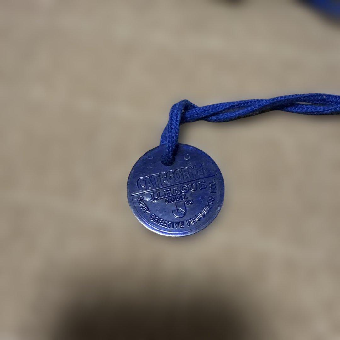 横浜マリノス チアホーン