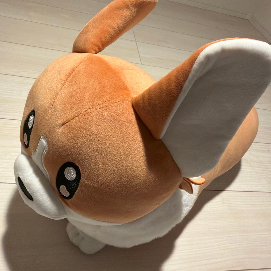 1/20まで　ヨルシカ 前世2024 suisデザイン コーギー ぬいぐるみ