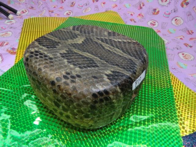 P10現品販売(送料無料)25.980円　沖縄三線　蛇皮強化張組み立てキット