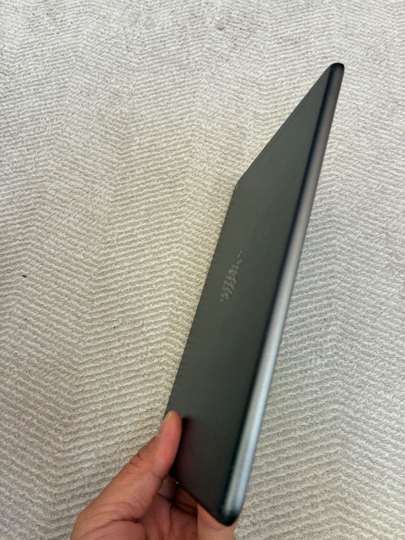 iPad mini 5 64G 最大容量87%セルラーモデル