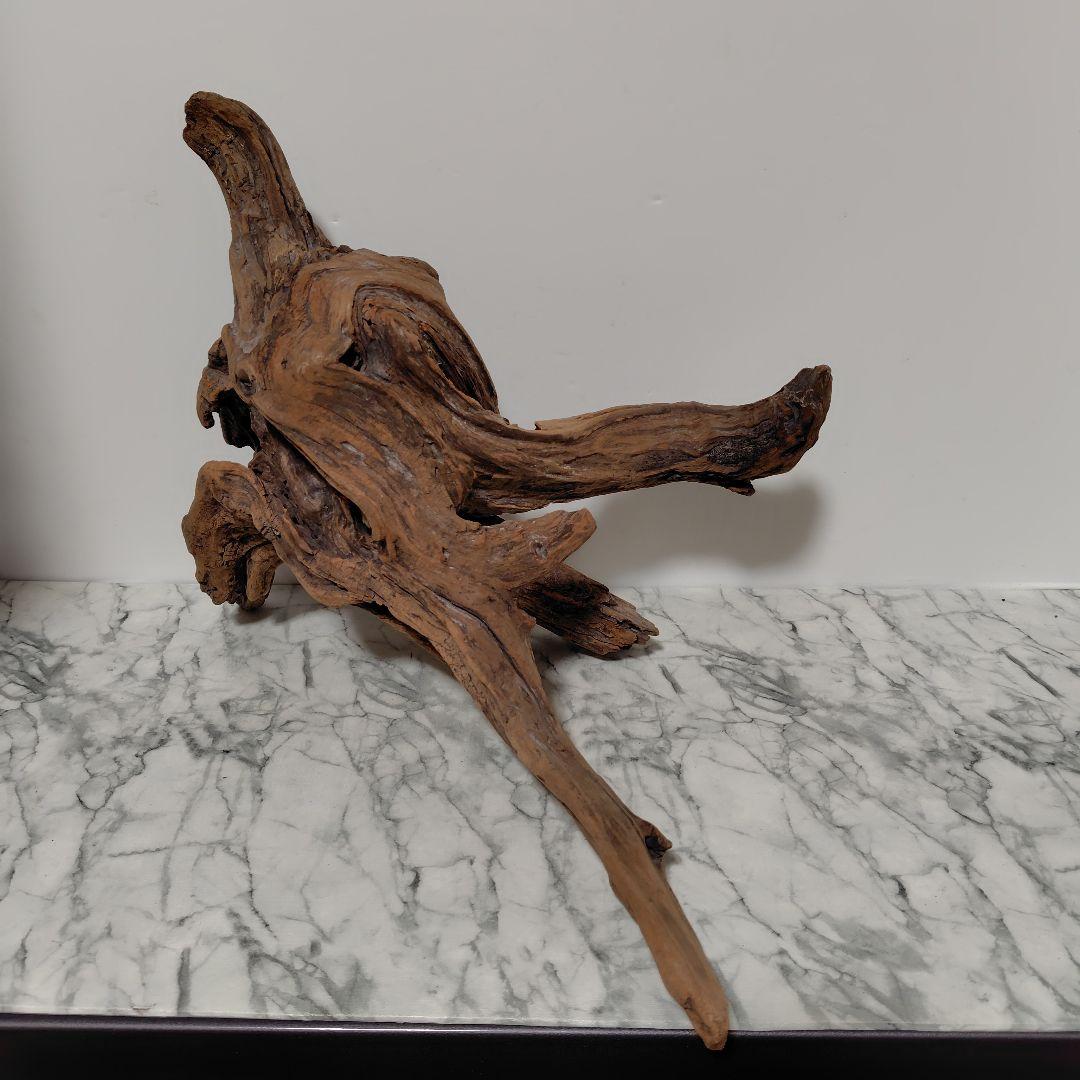 アク抜き済み流木【785】セール