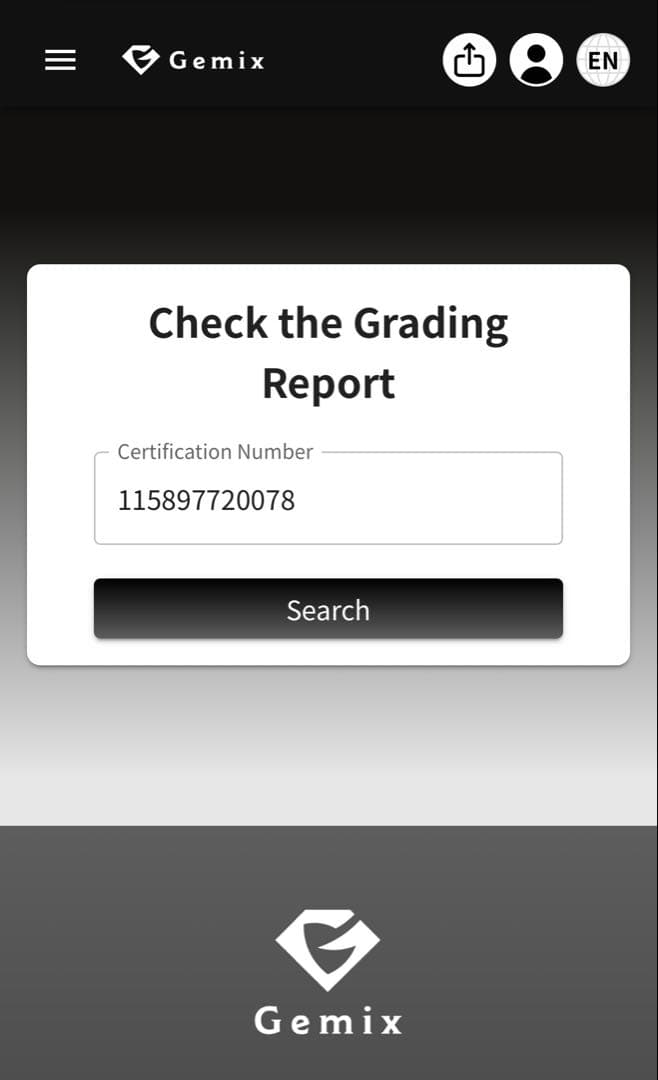 あ*ー様 【gemix10 BLACK】メガリザードンX EX 223/193