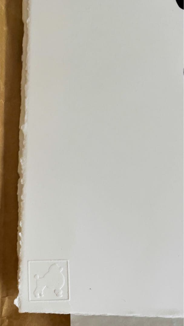 Victor castillo limted edition art 限定品