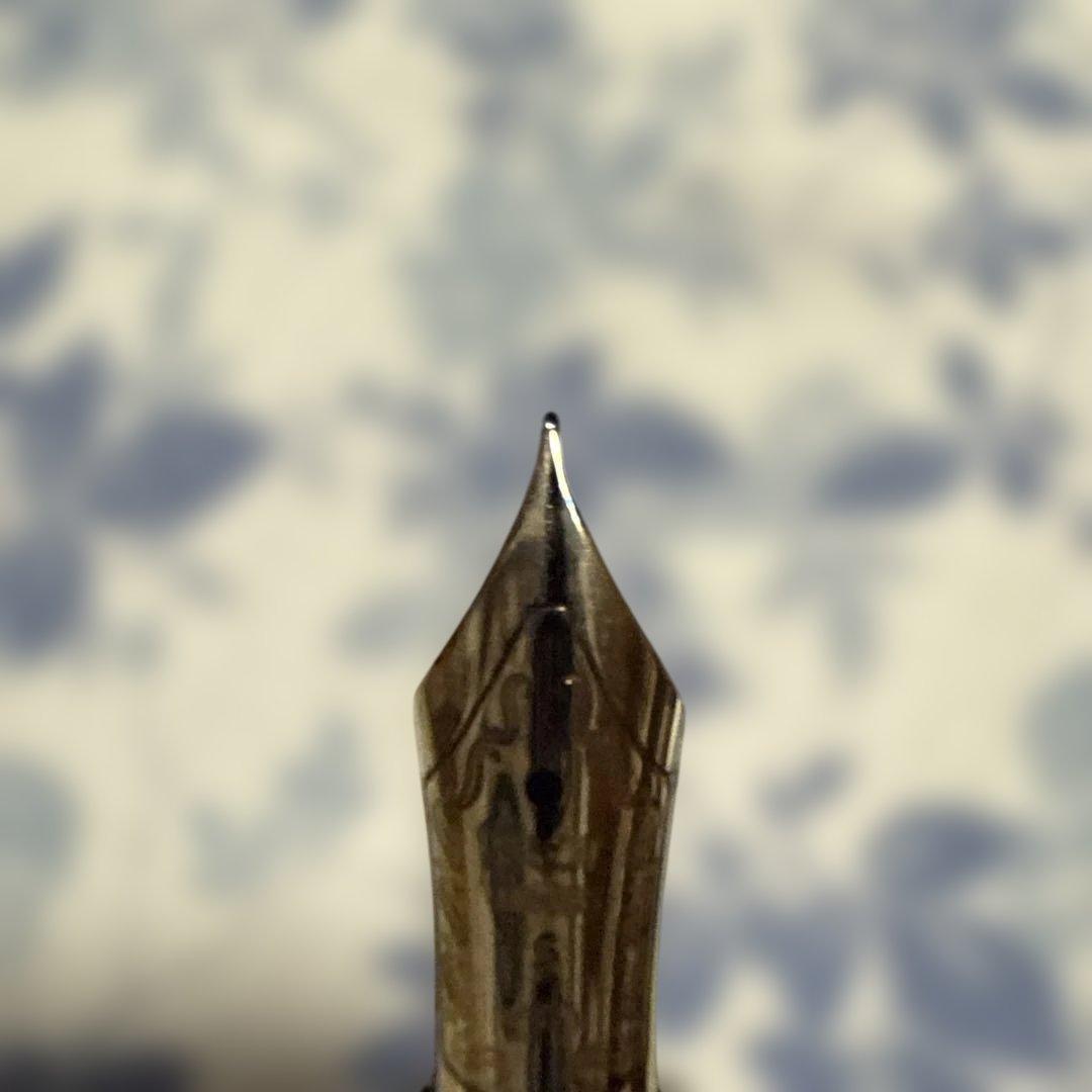 PILOT 万年筆 黒 カスタム74 Fケース保証書付き