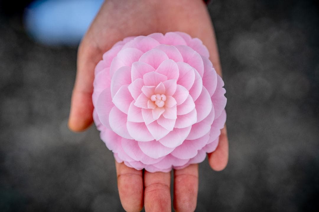 Carl Zeiss Batis 40mm F2 CF レンズ1本だけ残すなら