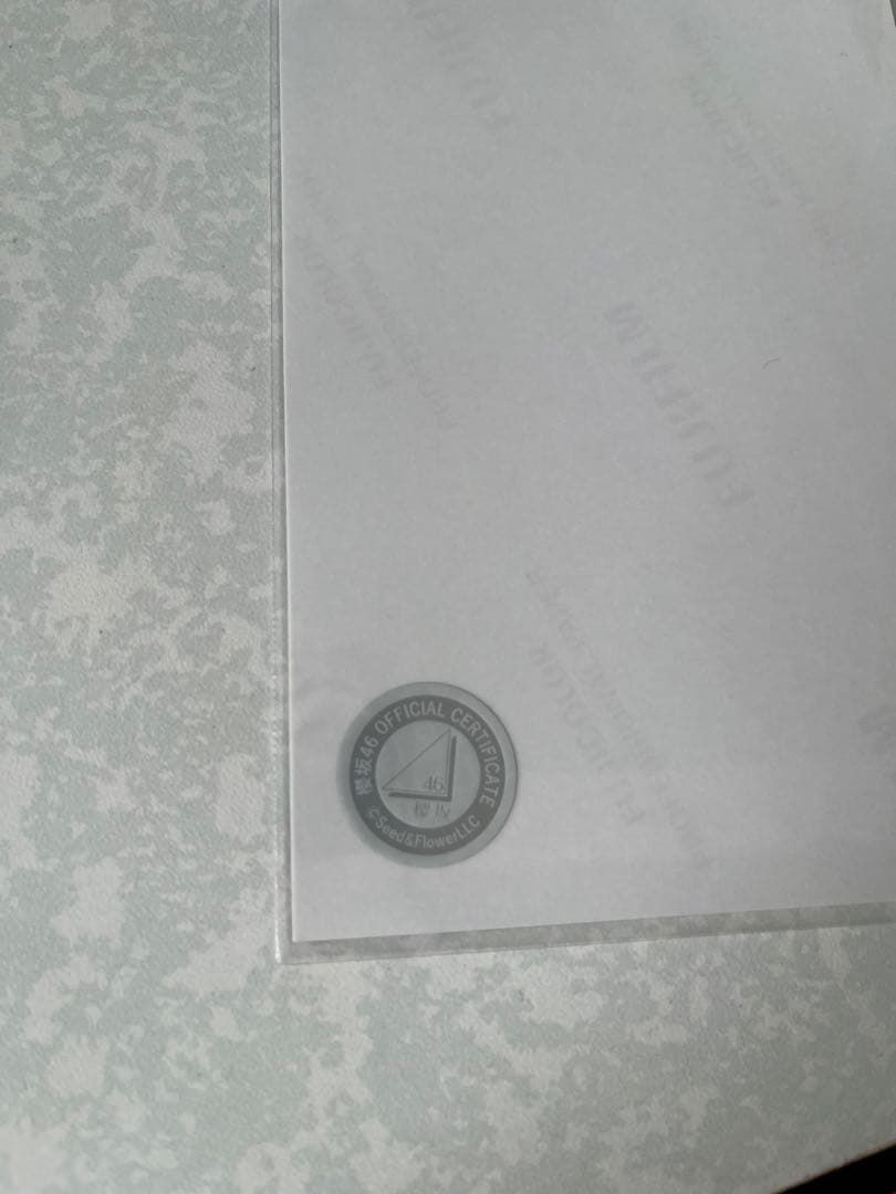 櫻坂46 幸阪茉里乃 直筆サイン クリスマスサンタ衣装　2024 生写真 ヨリ