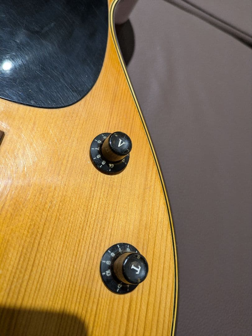 ジャパンビンテージアコースティックギター