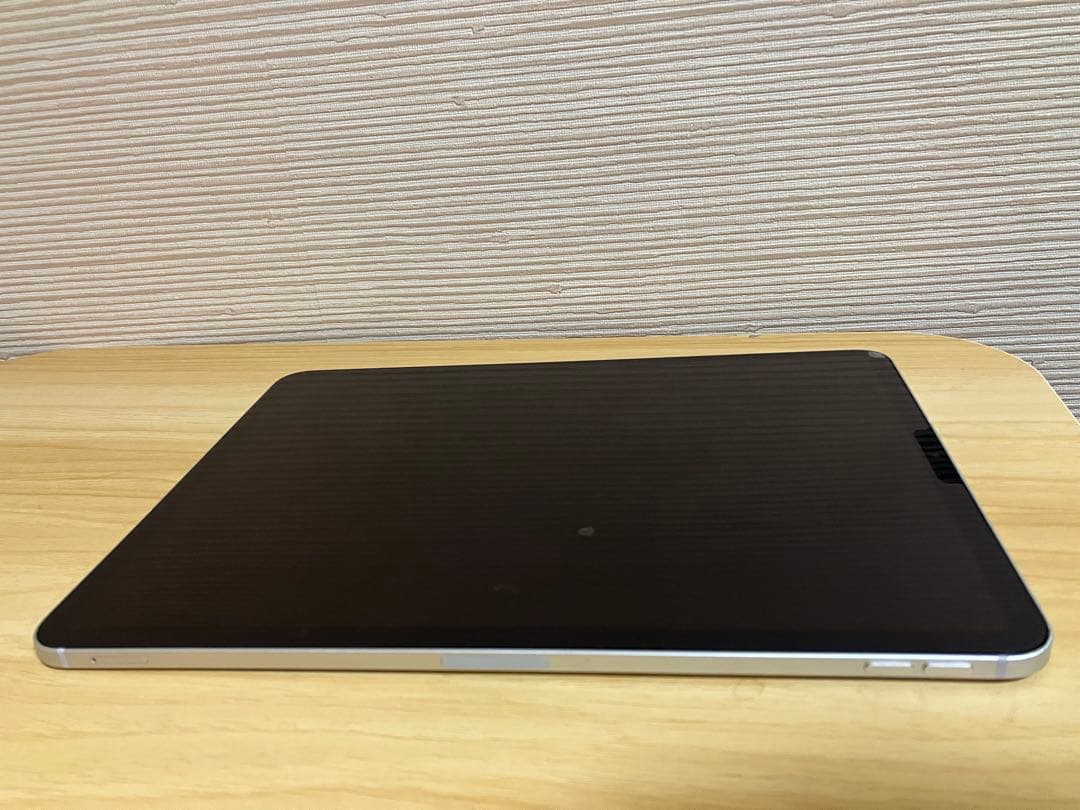 iPad Pro (11インチ) 第2世代