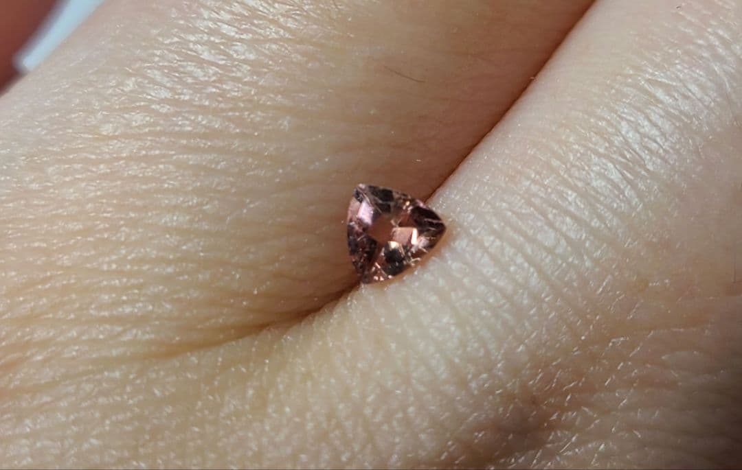 たーちゃんルース4pcページ