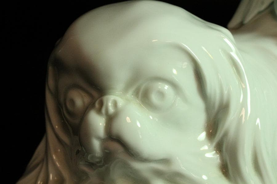 平戸 白磁 犬 置物 在銘 25cmx12cm(K-A203)