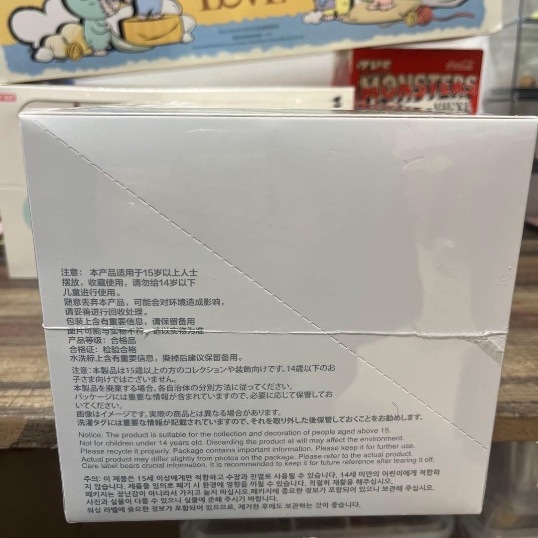 【正規品・未開封】ラブブ Big into Energy アソートボックス