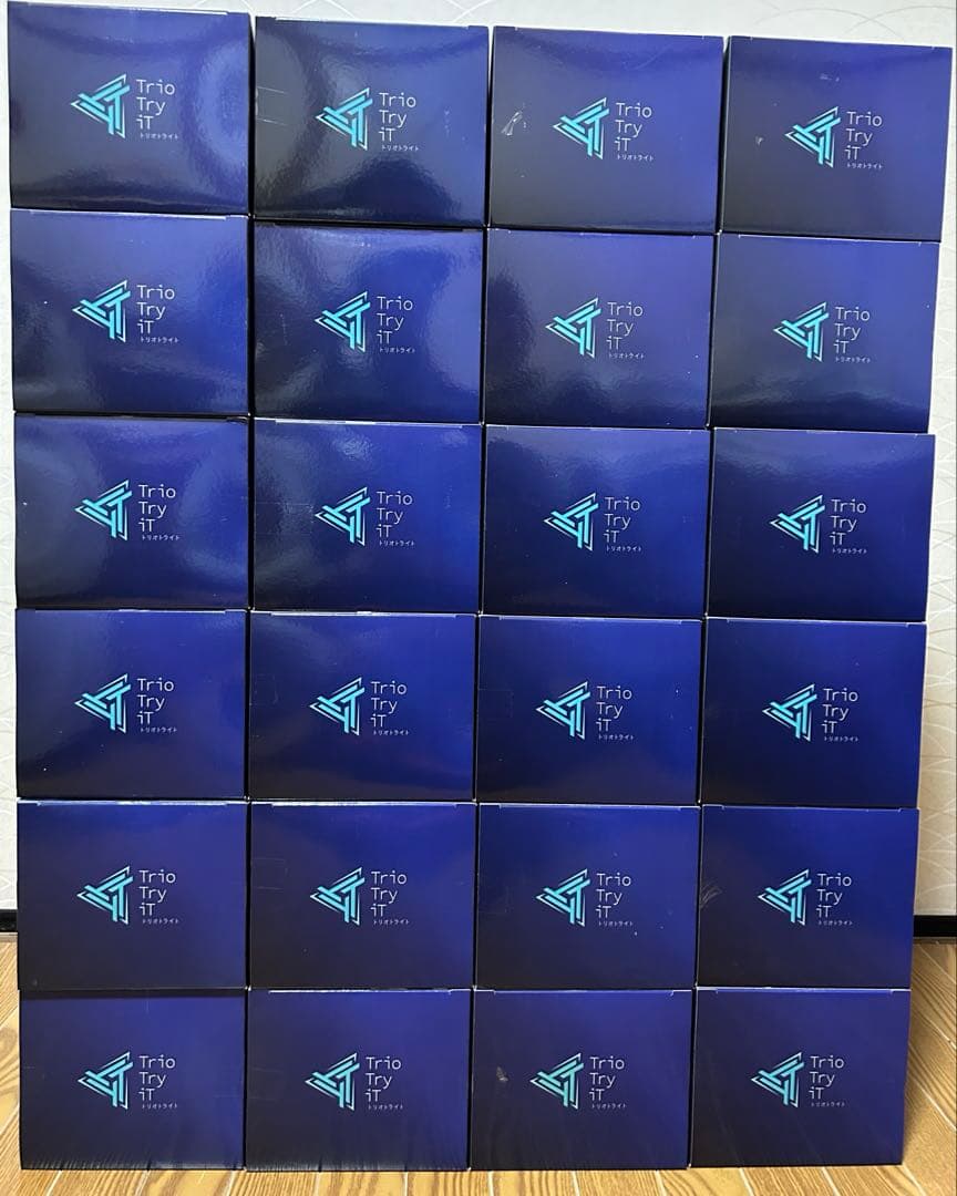 俺だけレベルアップな件 Trio-Try-iT フィギュア 水篠旬　 24個