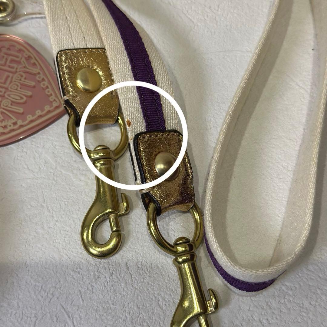 バッグ coachpoppy archive shoulder bag Y2K