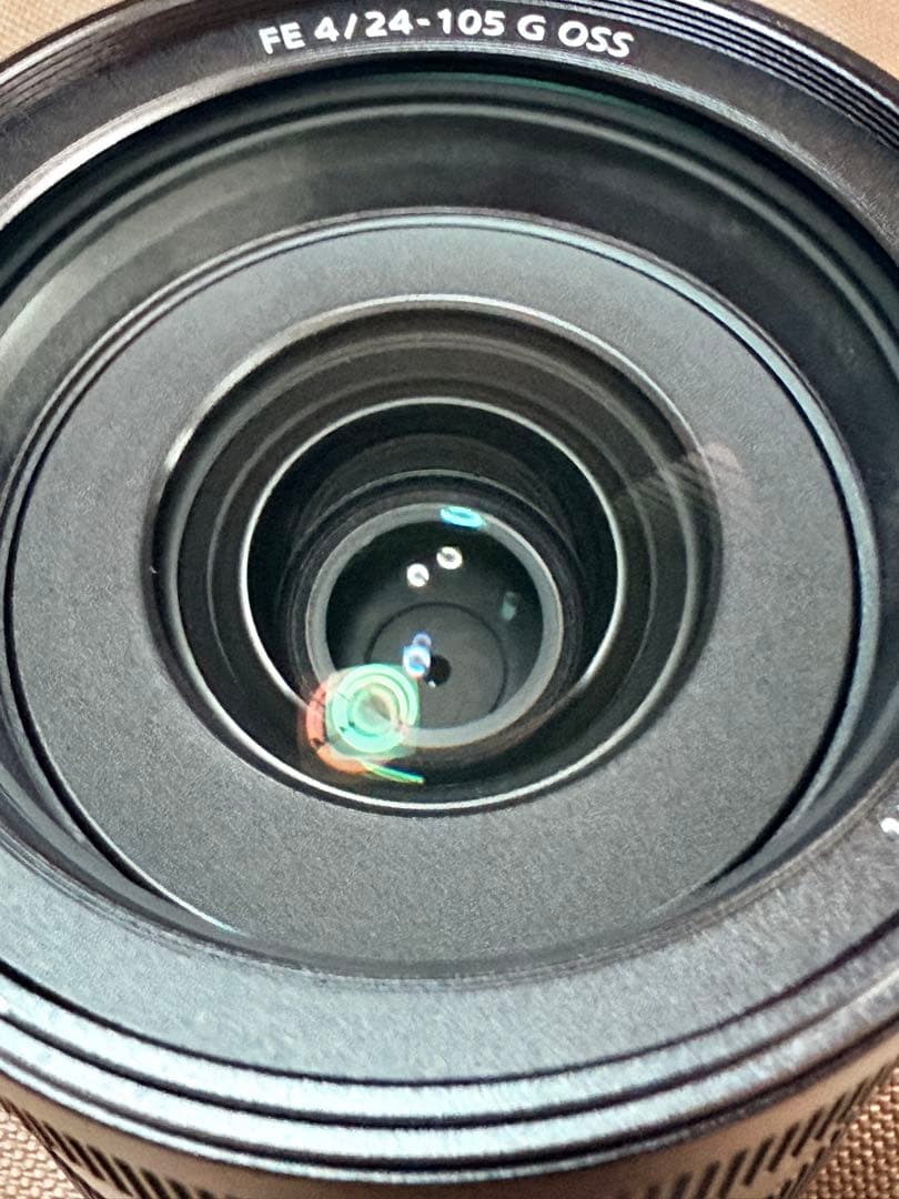 fe 24-105 f4 goss フィルター付き