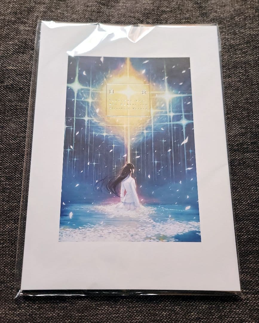 画展 「白夜」 図録 innocent grey