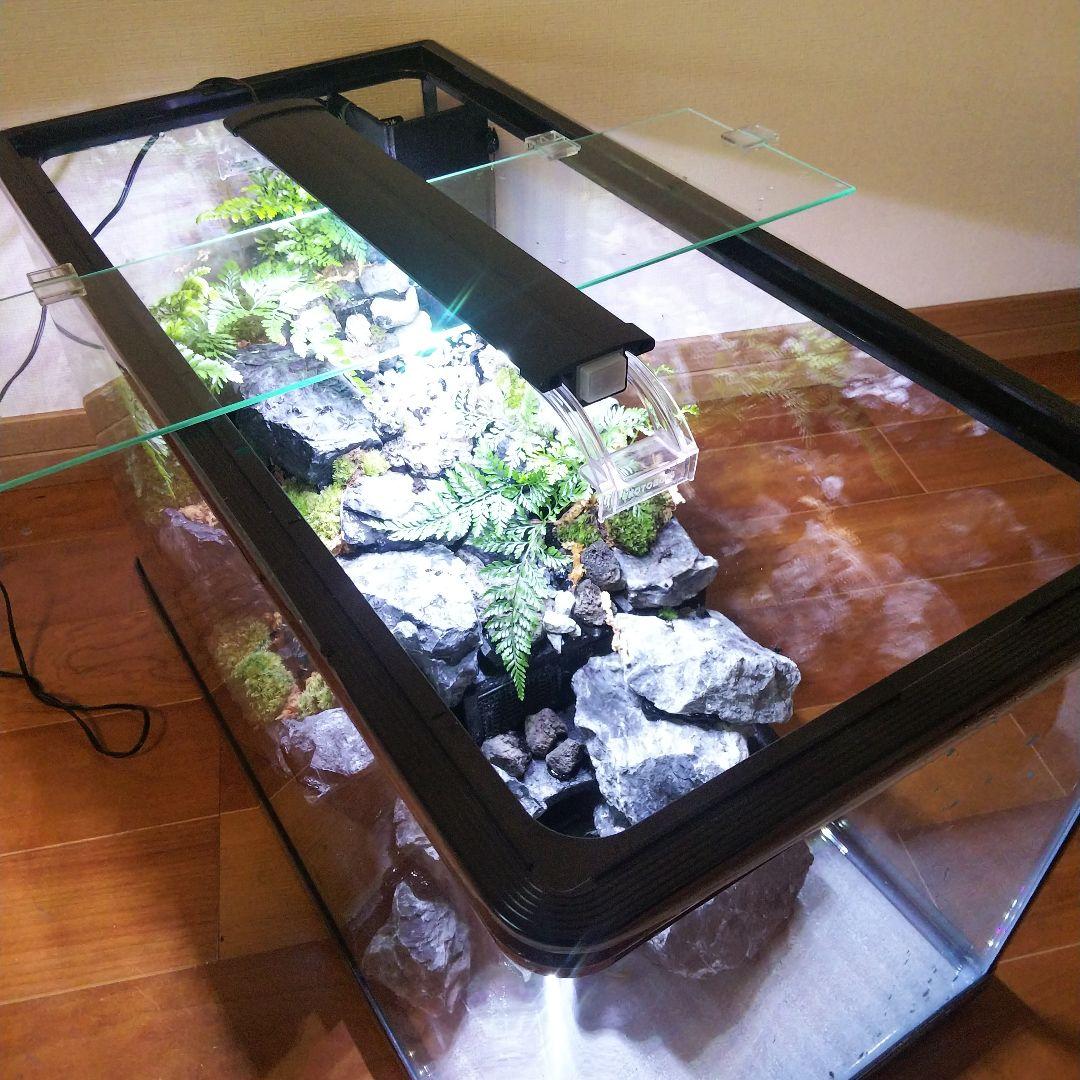 【受注生産】６0センチ水槽アクアテラリウム　イモリウム　苔テラリウム　テラリウム