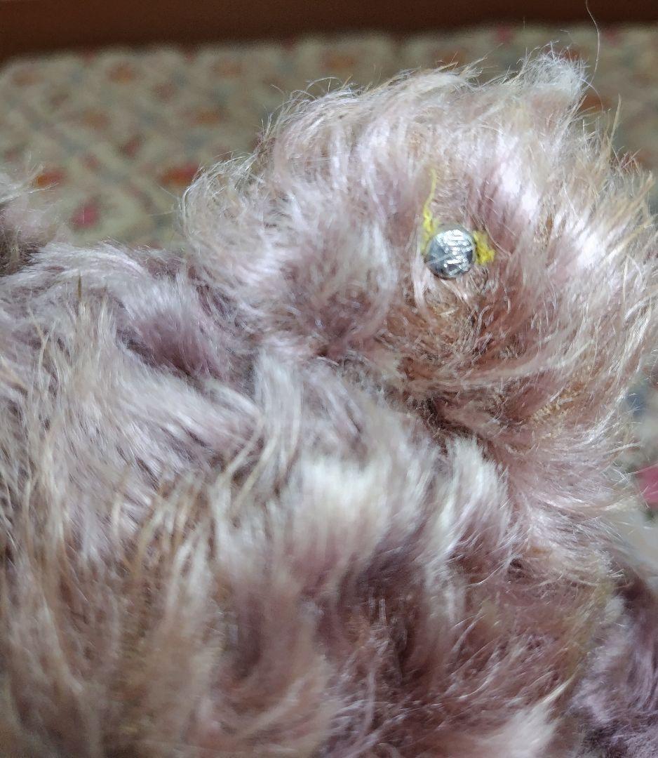 シュタイフ　小豆色のゾッティ