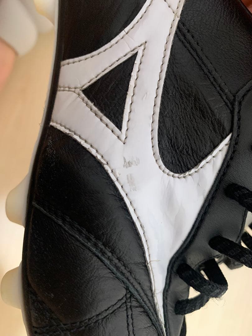 モレリア 2 クロスステッチ26cm