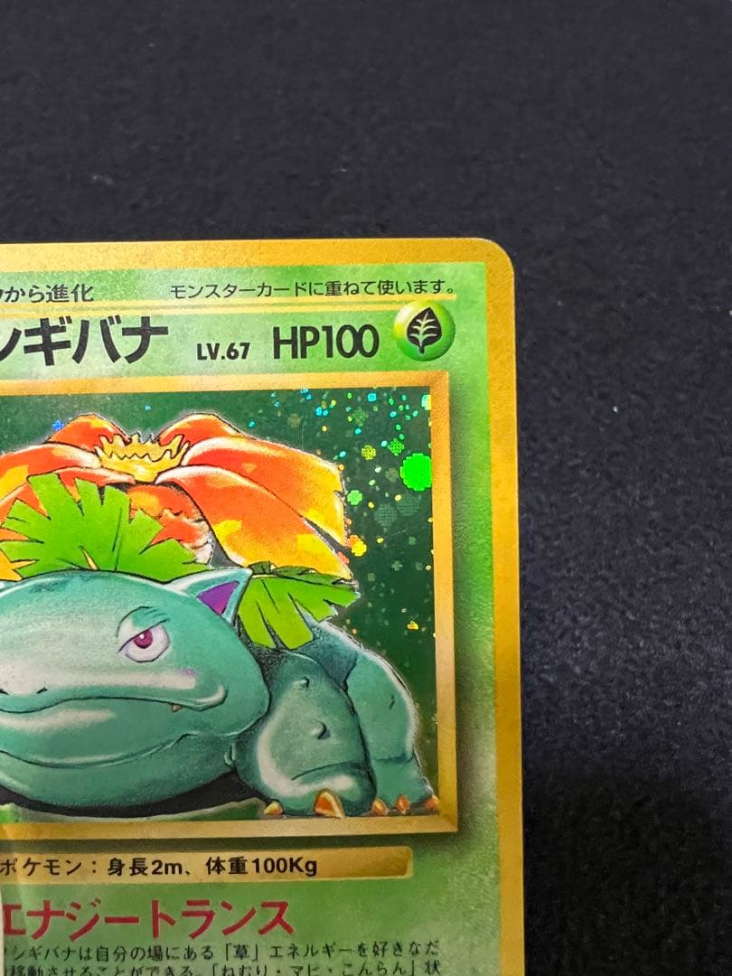 フシギバナ ★ 第1弾拡張パック　ポケカ　旧裏