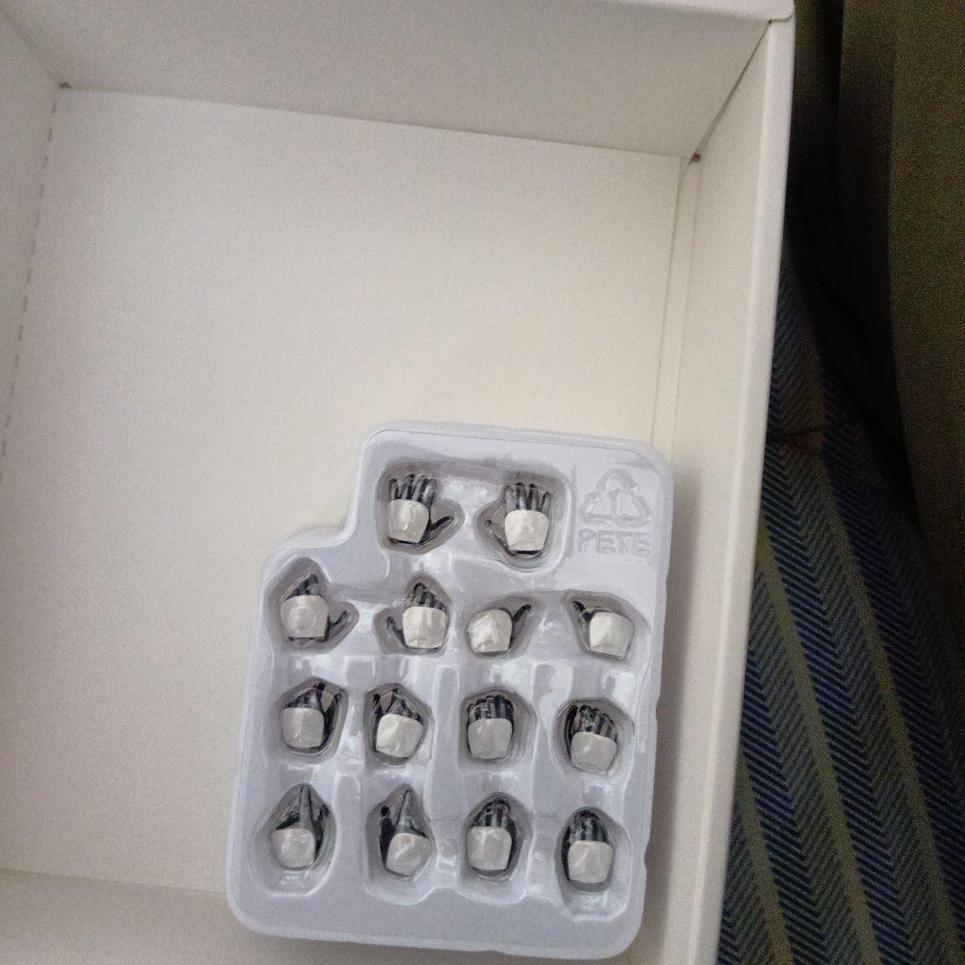 真骨頂　電王　モモタロス　フィギュア