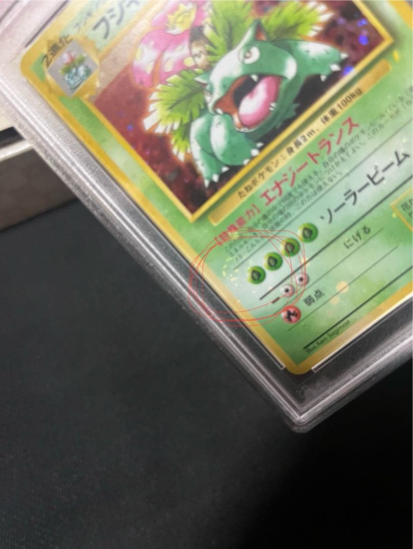 フジギバナ　旧裏　psa10
