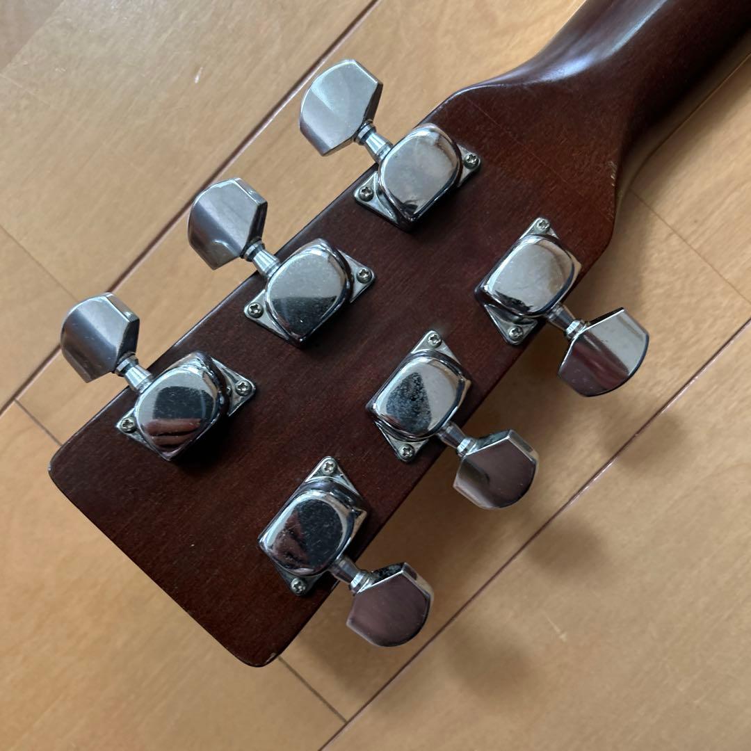 ぴょんたんCat's Eyas CE-200 東海楽器工房