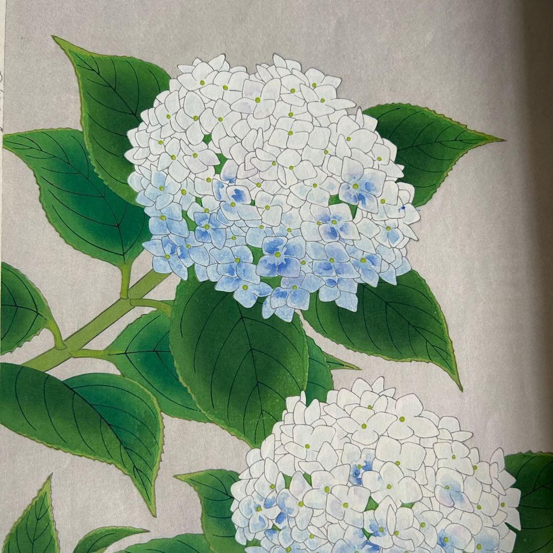伊藤仁三郎 手摺り木版画　紫陽花　あじさい 木版画 内田版 (I-271)