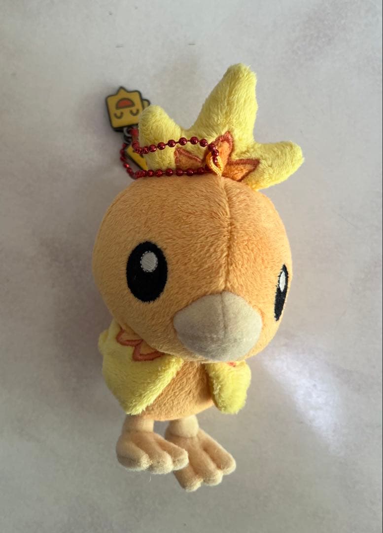 R*O様 ポケモンのぬいぐるみチャームつき８個＋チャーム無し１個　まとめ売り