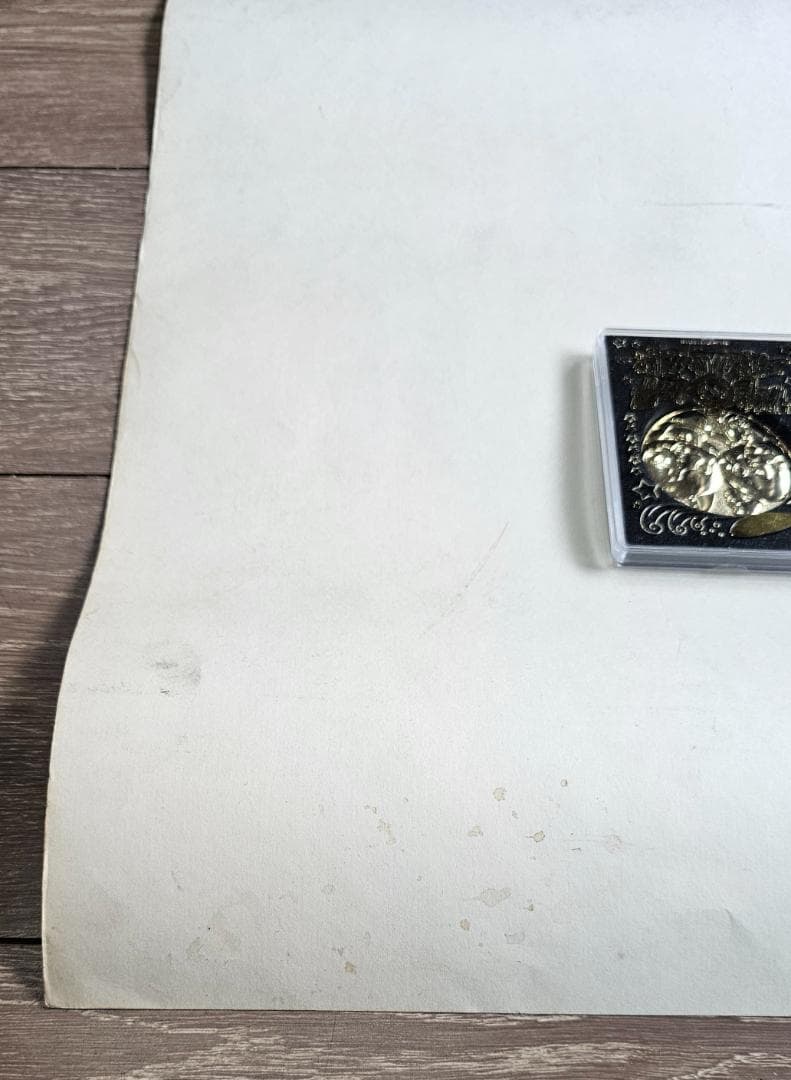 coopクープ シルクスクリーンポスター/シリアルナンバー&サイン入オリジナル