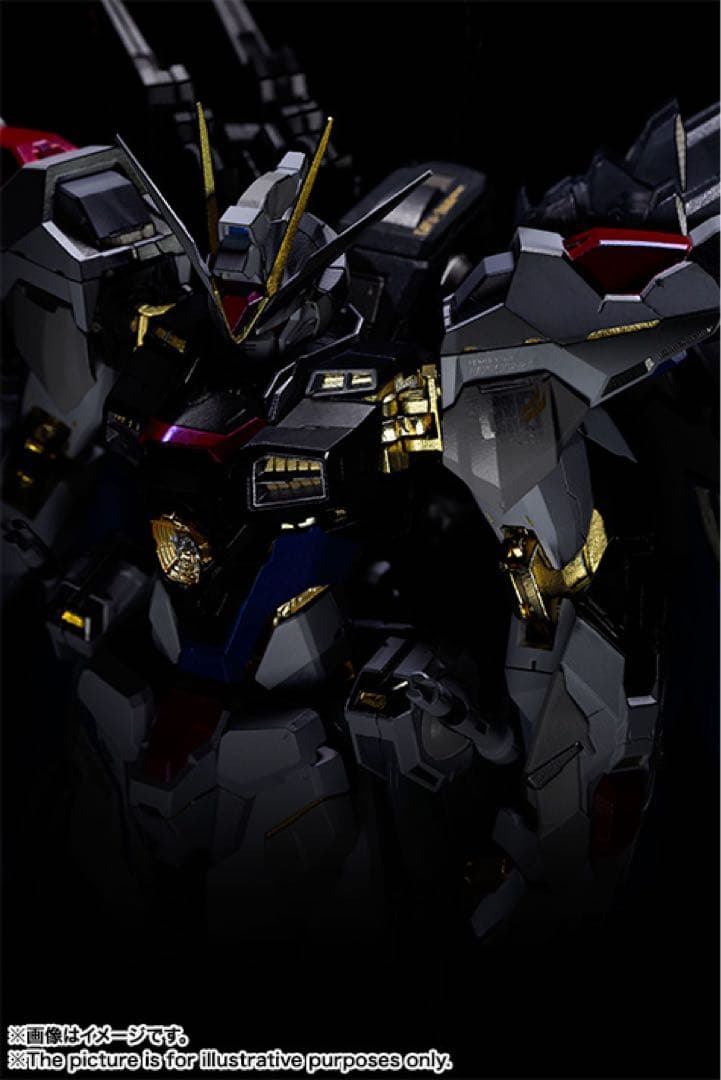 L BUILD ストライクフリーダムガンダム　光の翼フルパッケージ