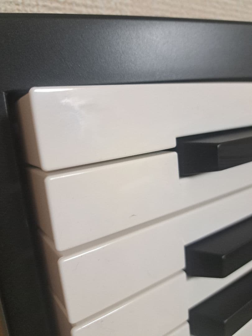 Roland GO-88P 電子ピアノ 本体