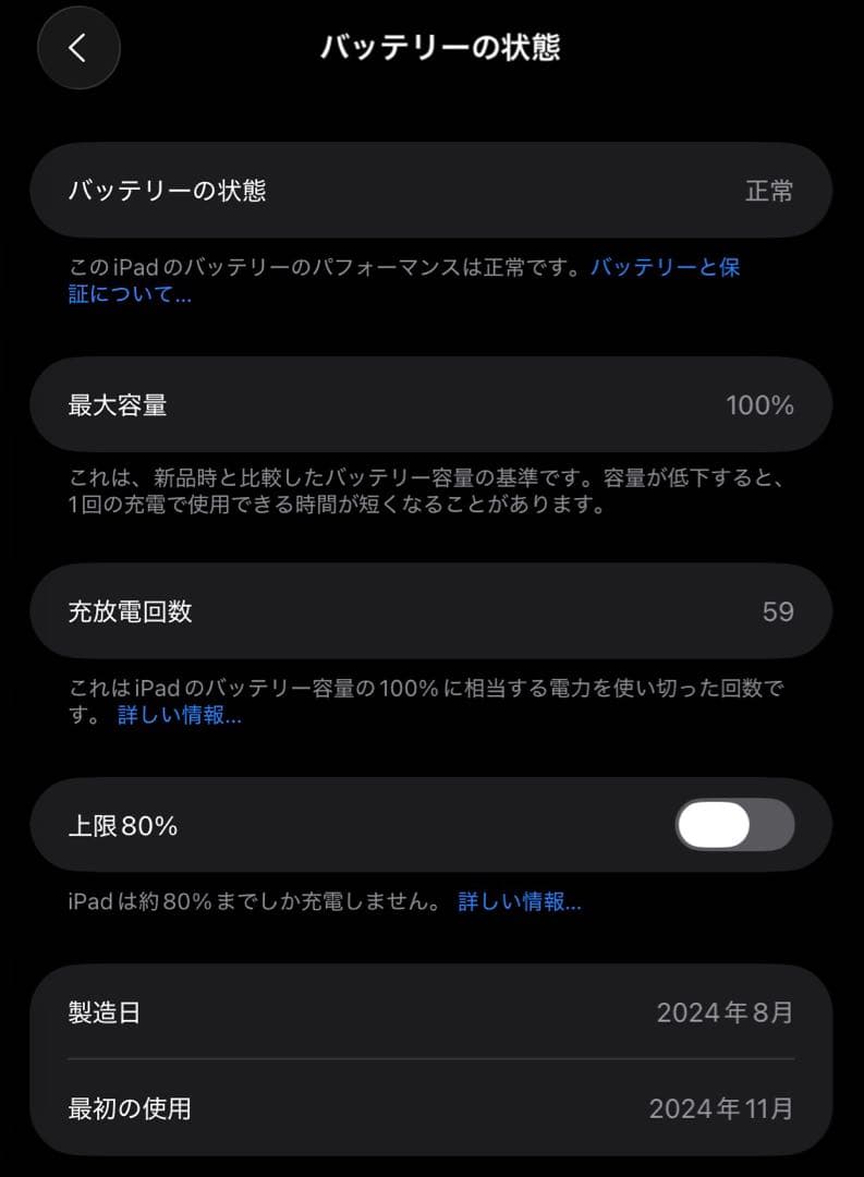 【極美品】iPad mini 第7世代（A17Pro Wi-Fiモデル）