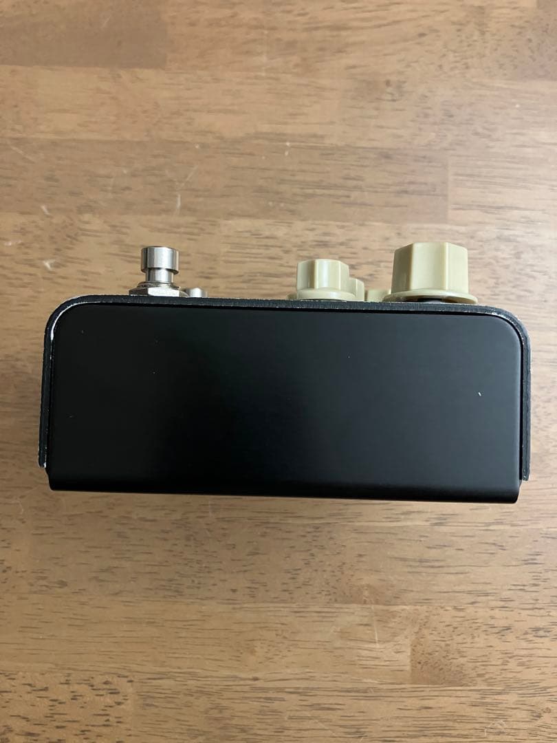 Strymon FLINT トレモロ リバーブ