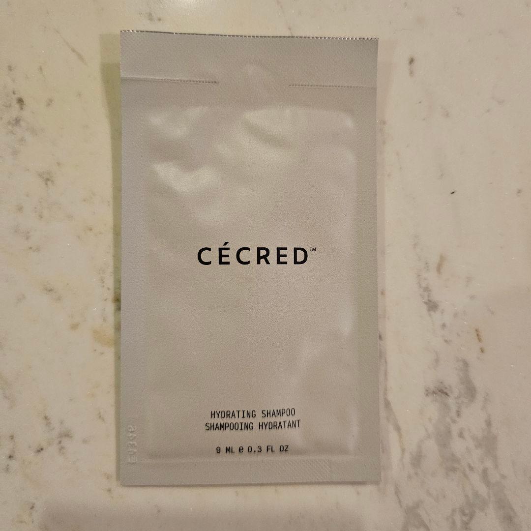 ビヨンセ COWBOY CARTER TOUR VIP限定グッズ＋Tシャツ3枚付