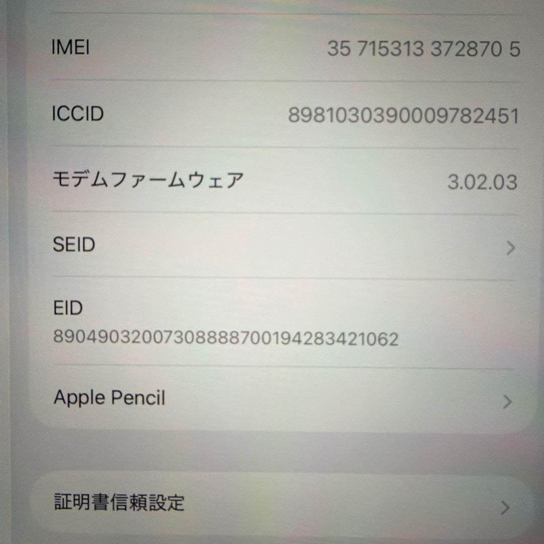 H*u様 【セット】iPad mini 7 (A17 Pro) セルラーモデル