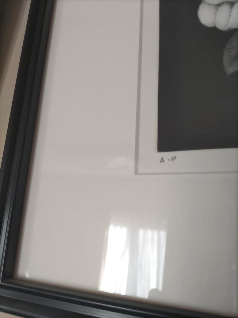 小泉淳作　白い椿　版画