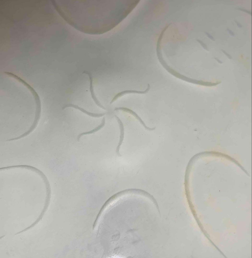 中国 輪花人面図碗　f2250419