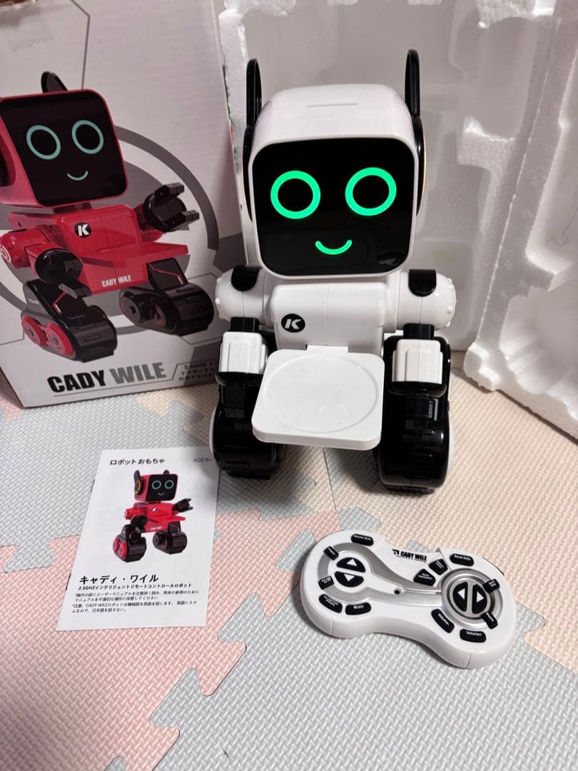 Cady Wile ロボットおもちゃ