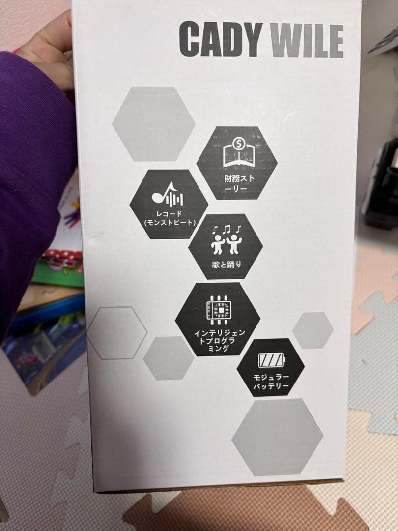 Cady Wile ロボットおもちゃ