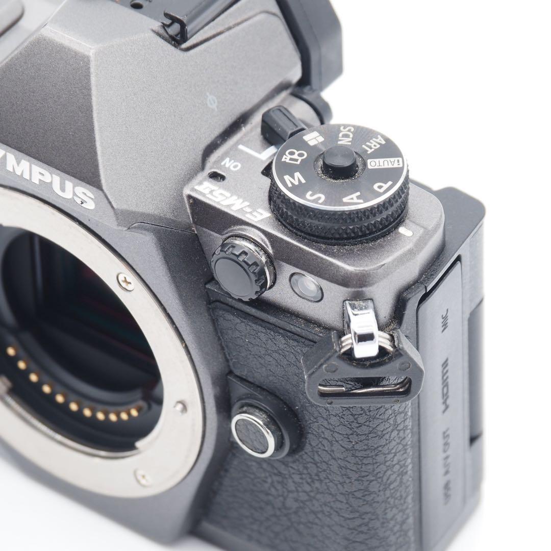 オリンパス OM-D E-M5 Mark II Limited Edition