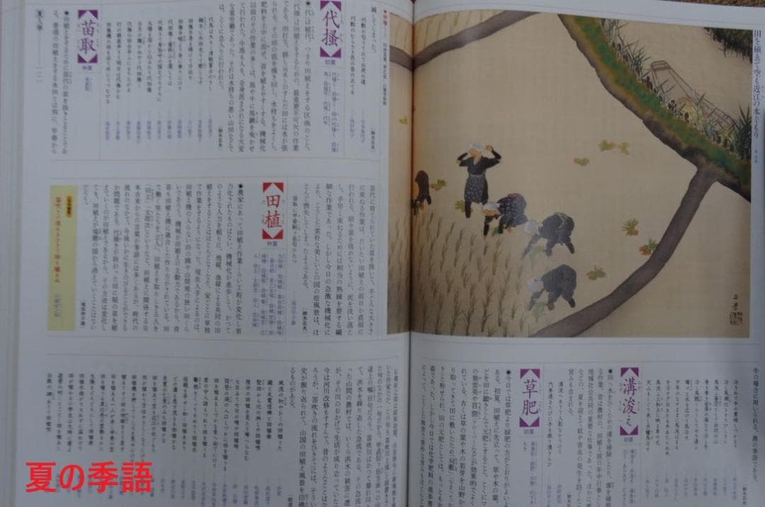 カラー版　新日本大歳時記 全5巻