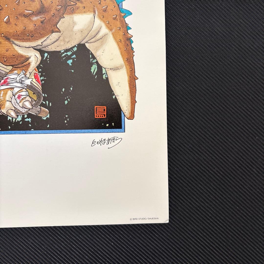 ✨️入手困難✨️ 鳥山明の世界 ドラゴンボール 複製原画 A 孫悟飯