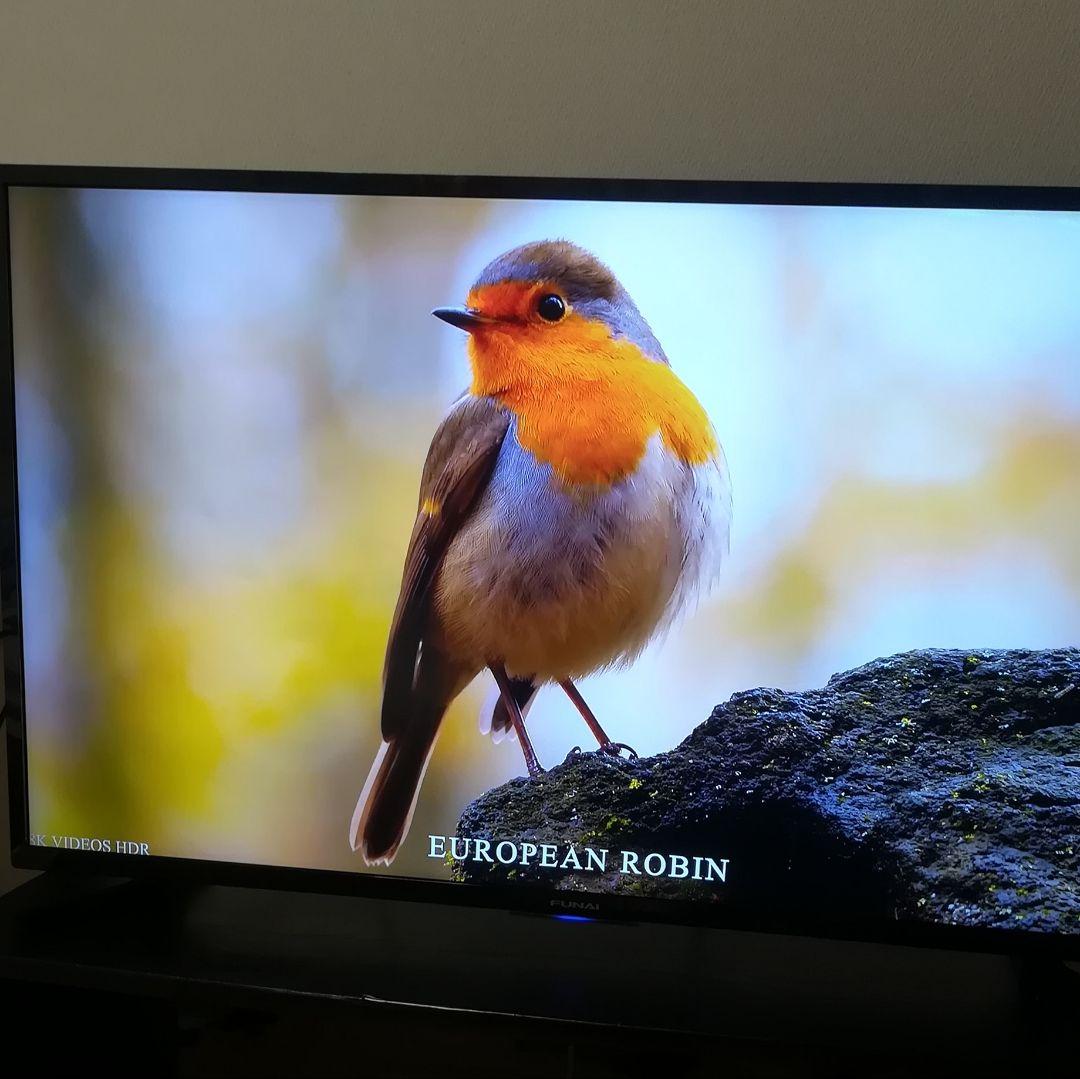 【4Kチューナー／1TB HDD内蔵／すぐ録画セット】4K液晶テレビ