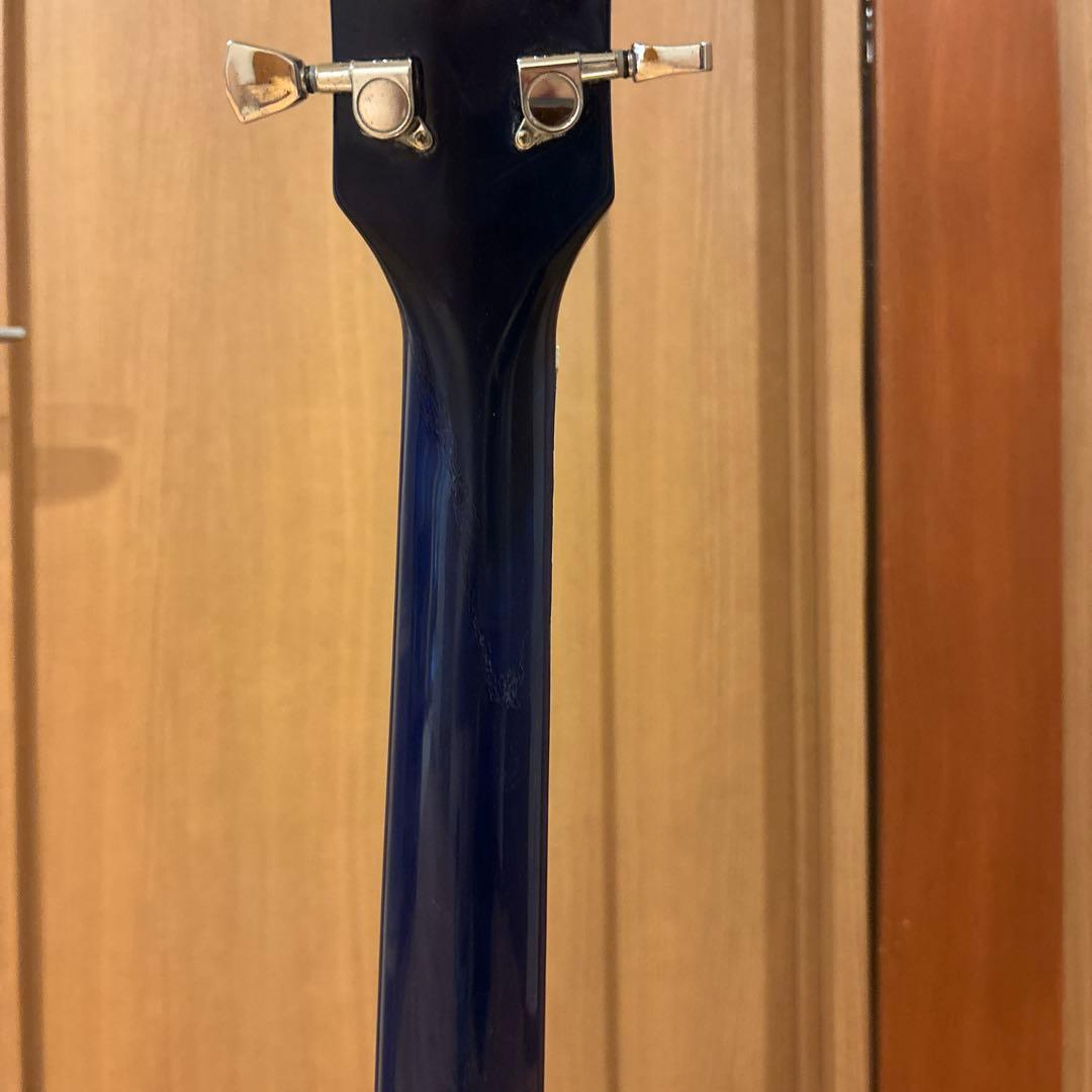 Bacchus Live Road レスポールタイプ ブルーカラー