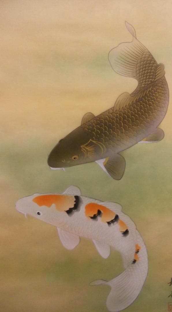 掛け軸 旭堂 作『 躁鯉 』 双鯉 絹本 希少 軸装 茶道具 掛軸 美品 です。