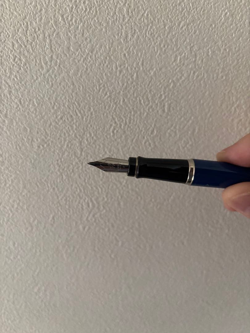 期間限定　WATERMAN ウォーターマン エキスパート デラックス 万年筆